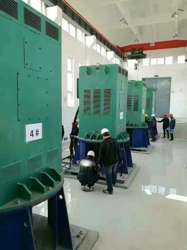 浈江某污水处理厂使用我厂的立式高压电机安装现场安装尺寸